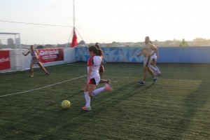 ysm_lal16_d2-0402